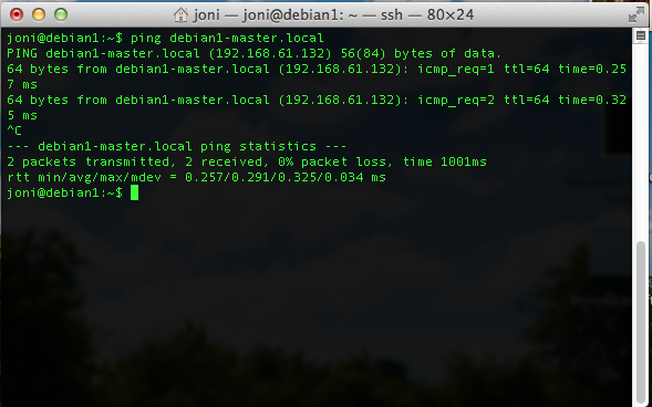 debian1-pinging-master