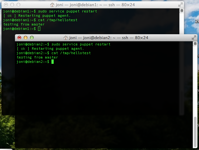 hellotest-moduletest