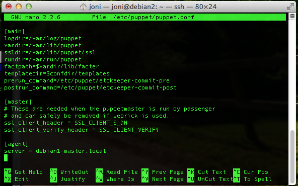 puppet-agent-config