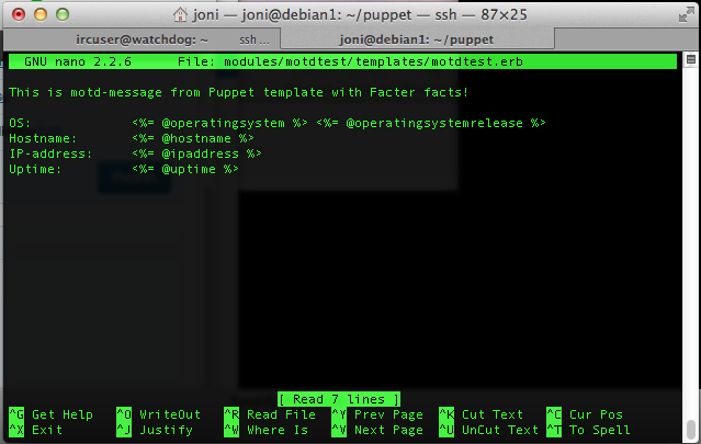 puppet-template-with-facter-facts